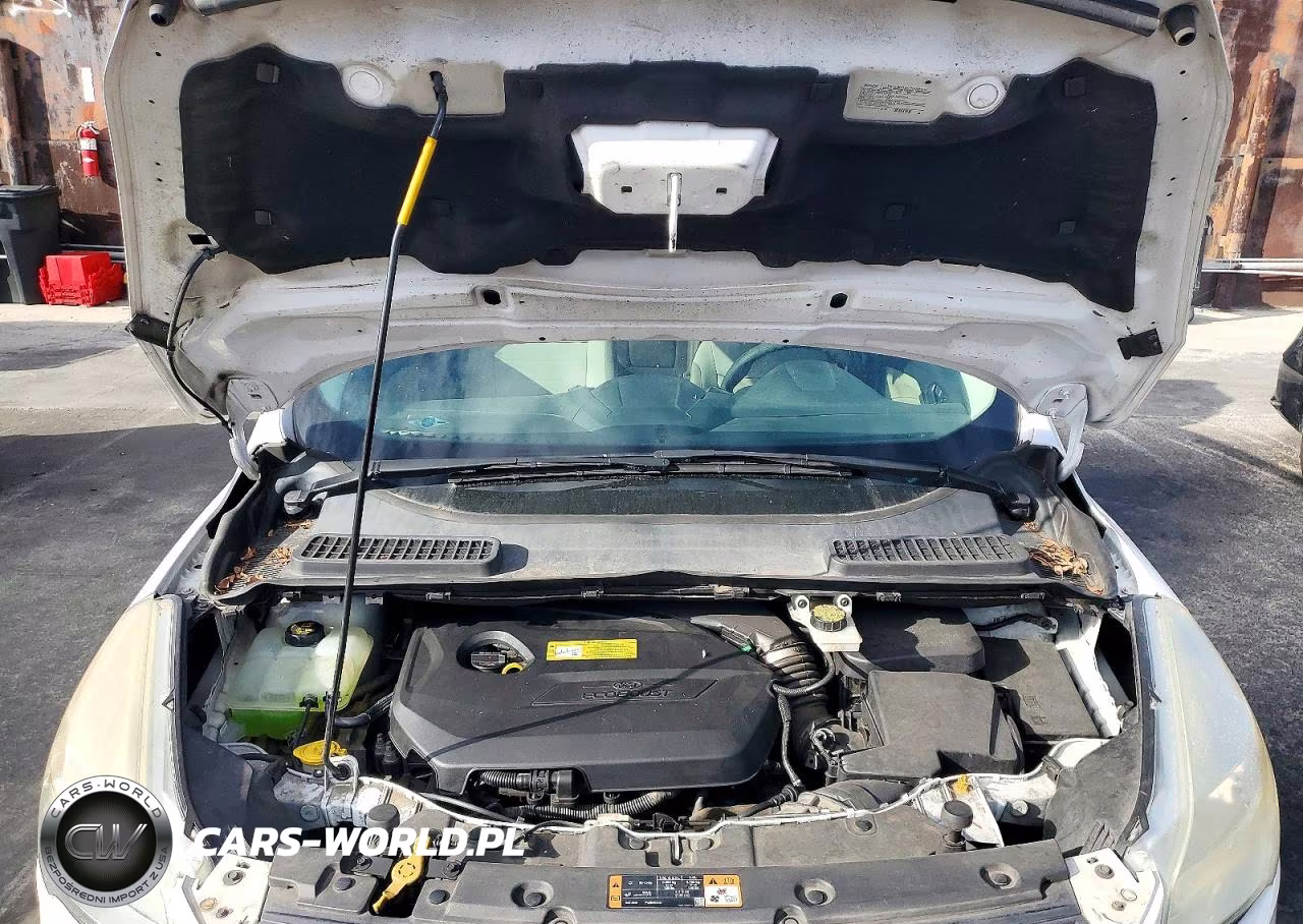 2014 Ford Escape Se VIN:1FMCU0GX7EUC52408 - 11