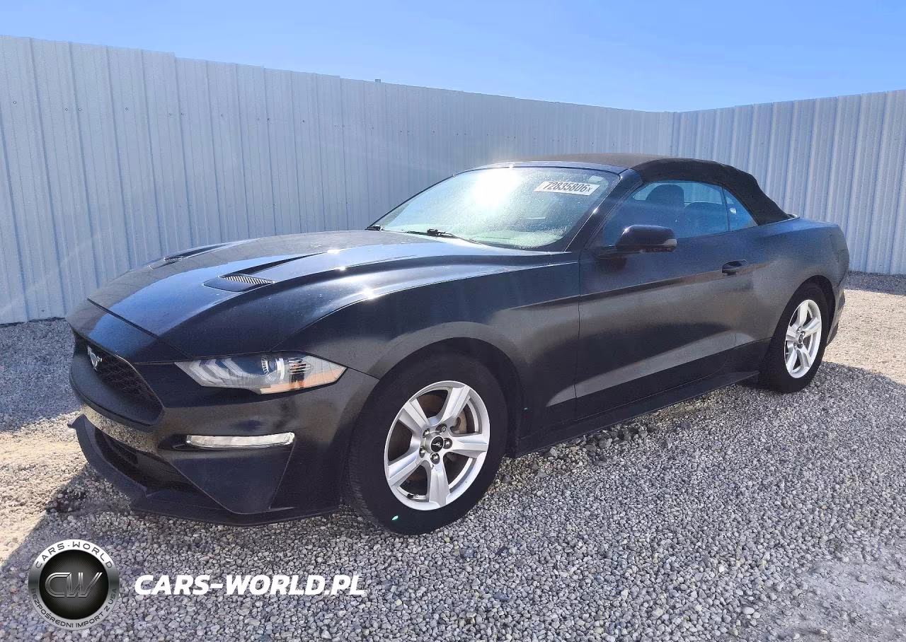 2019 Ford Mustang VIN:1FATP8UH0K5101882 - 1