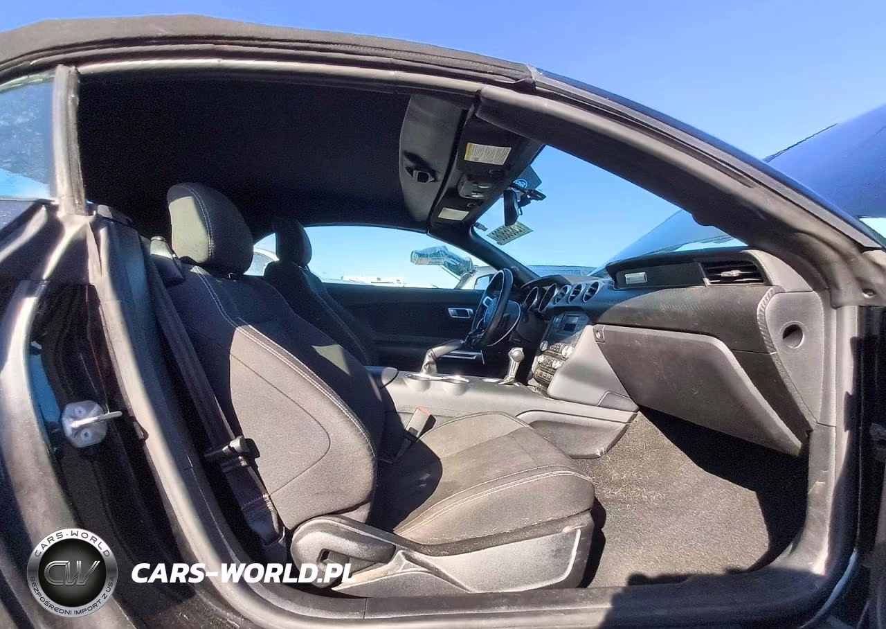 2019 Ford Mustang VIN:1FATP8UH0K5101882 - 13