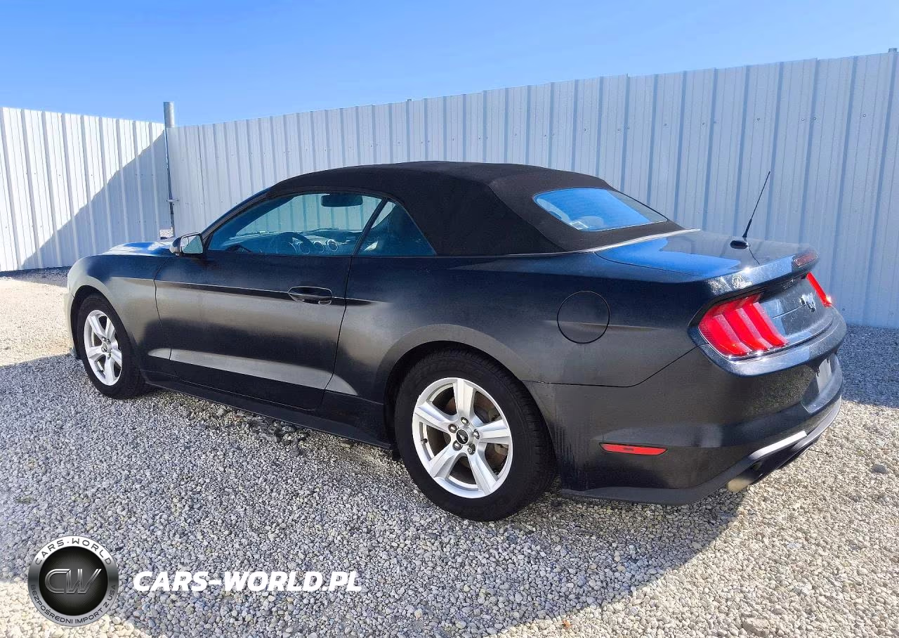 2019 Ford Mustang VIN:1FATP8UH0K5101882 - 2