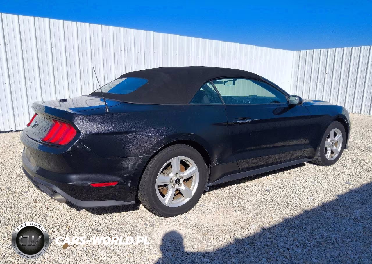 2019 Ford Mustang VIN:1FATP8UH0K5101882 - 3