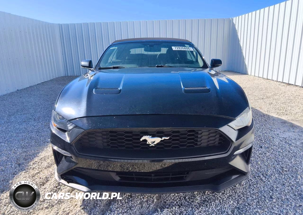 2019 Ford Mustang VIN:1FATP8UH0K5101882 - 5