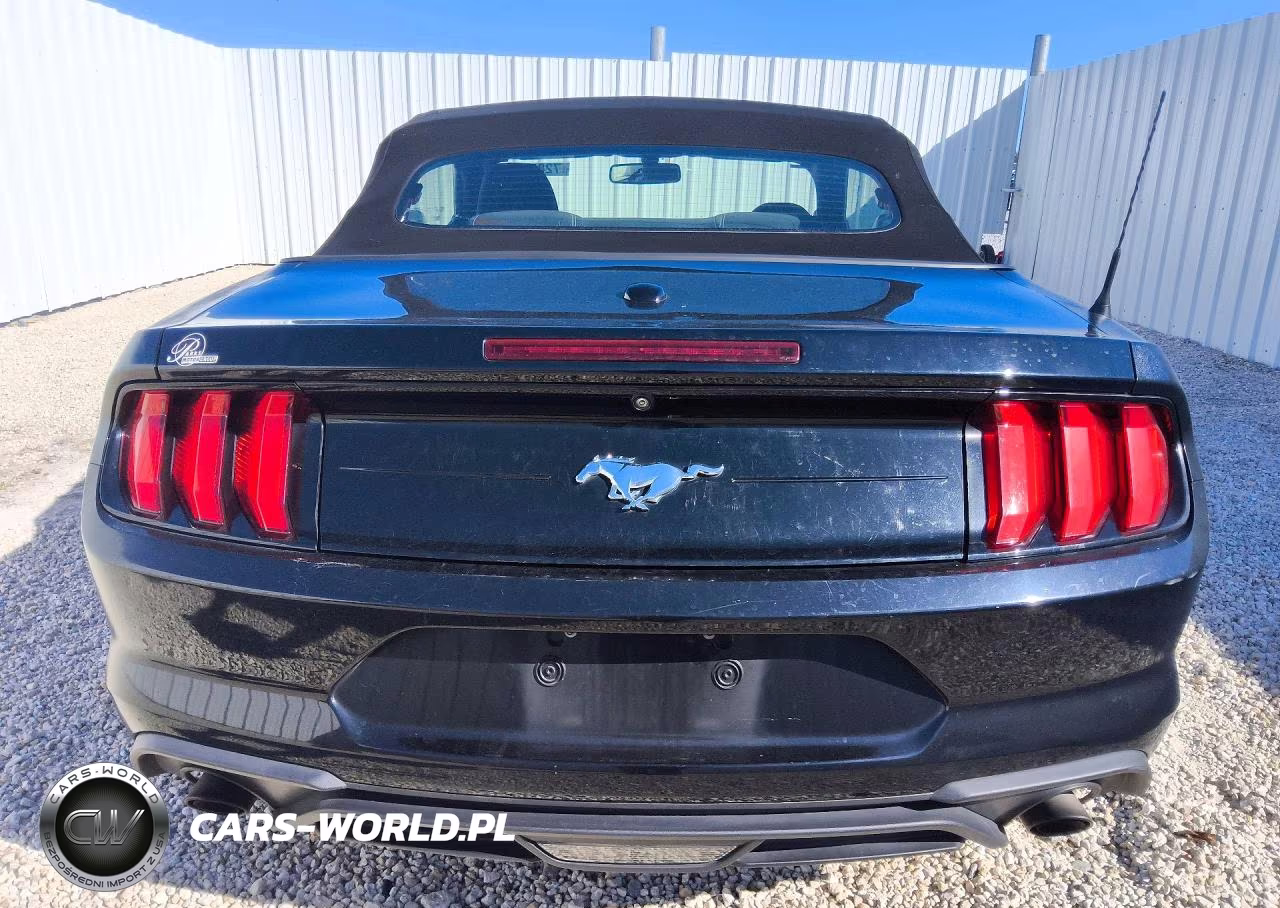 2019 Ford Mustang VIN:1FATP8UH0K5101882 - 6