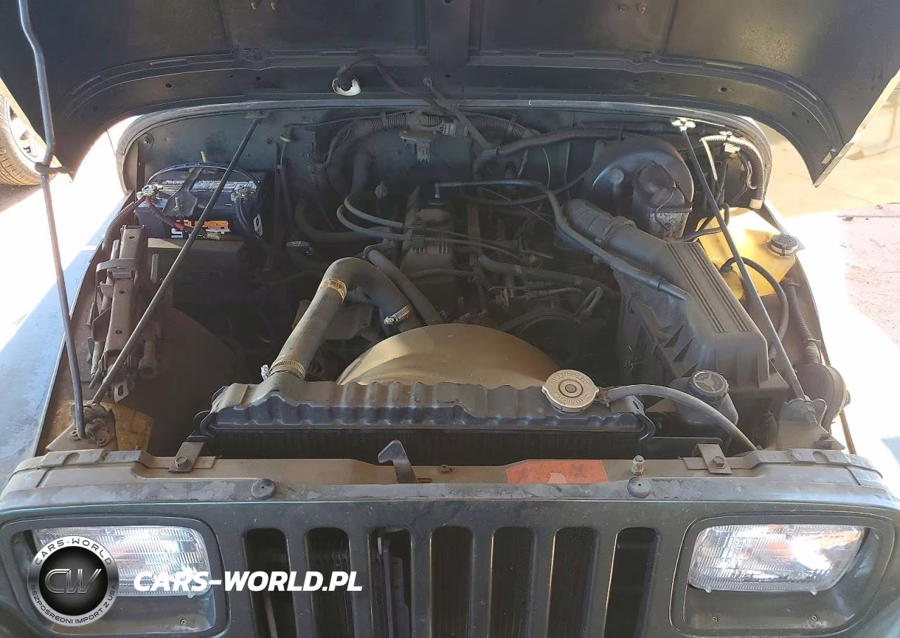1995 Jeep Wrangler - Yj S VIN:1J4FY19P8SP285060 - 11