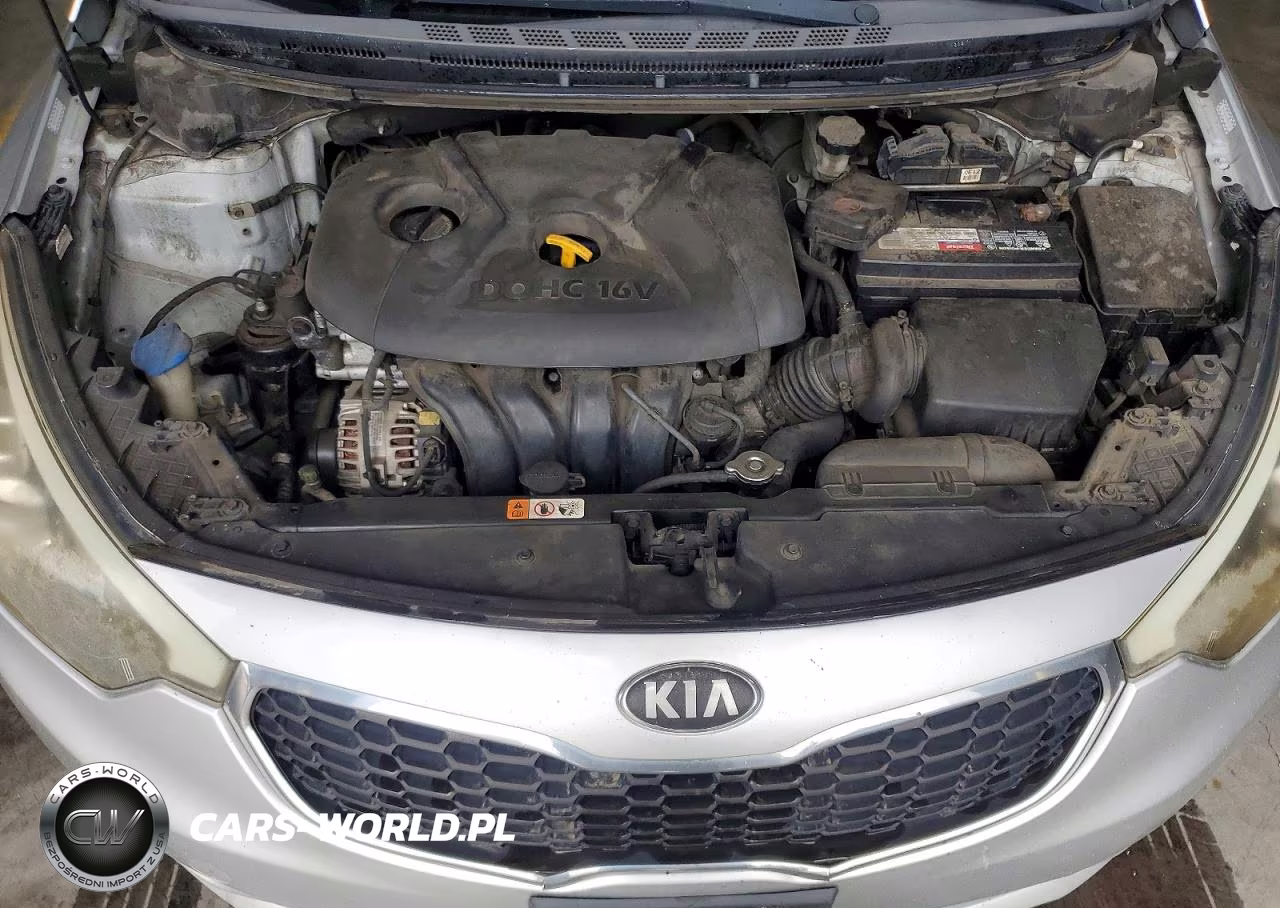 2014 Kia Forte Lx VIN:KNAFX4A60E5105905 - 11
