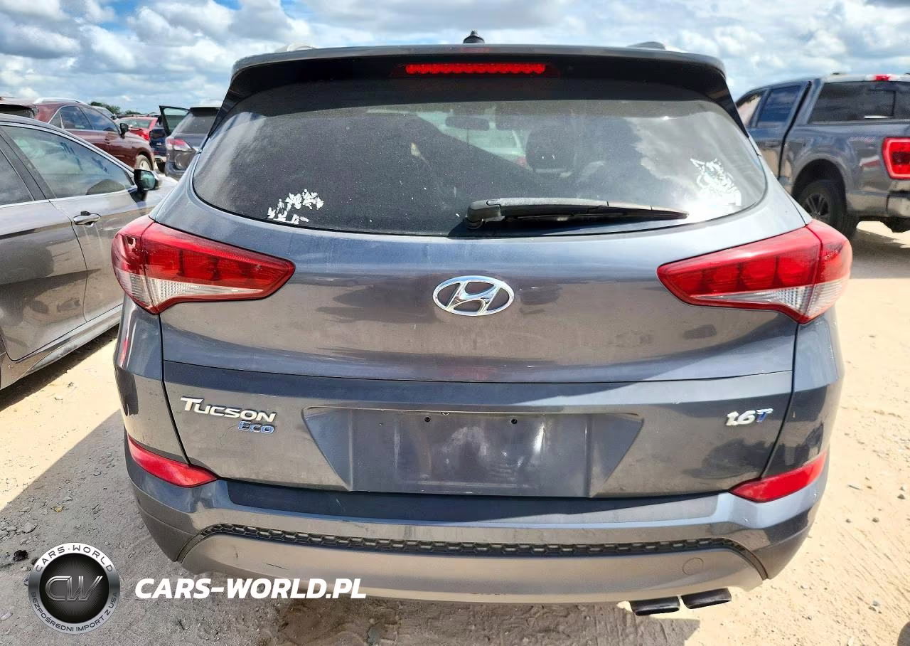 2016 Hyundai Tucson Eco VIN:KM8J33A28GU203360 - 6