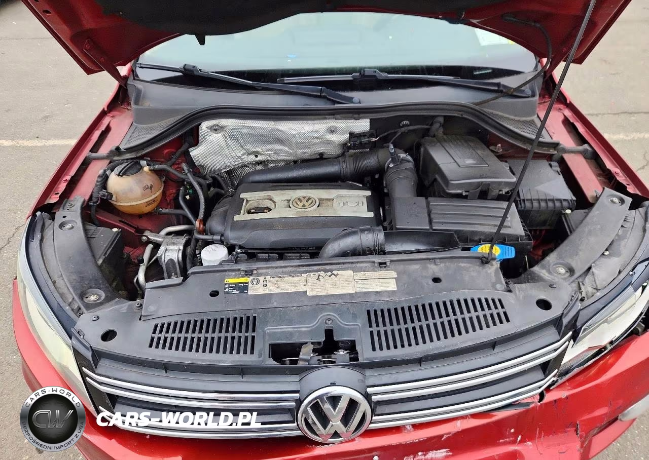 2013 Volkswagen Tiguan S VIN:WVGBV3AX9DW062535 - 12
