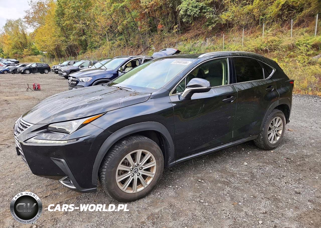 2021 Lexus Nx 300 Base VIN:JTJDARDZ4M2242616 - 1