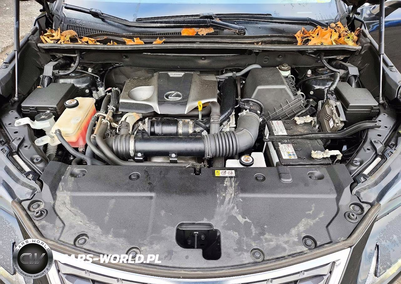 2021 Lexus Nx 300 Base VIN:JTJDARDZ4M2242616 - 12