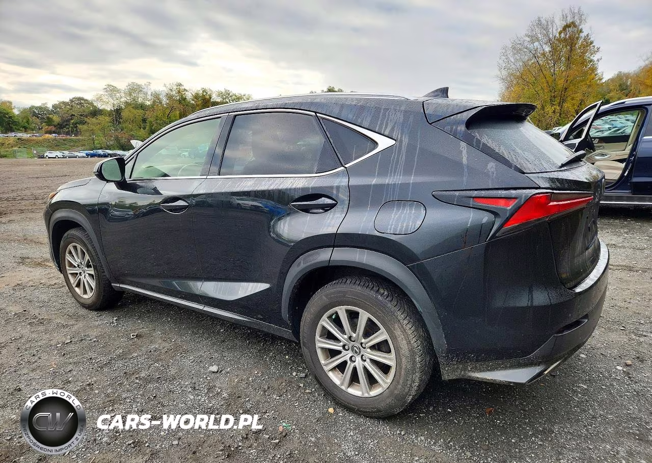 2021 Lexus Nx 300 Base VIN:JTJDARDZ4M2242616 - 2