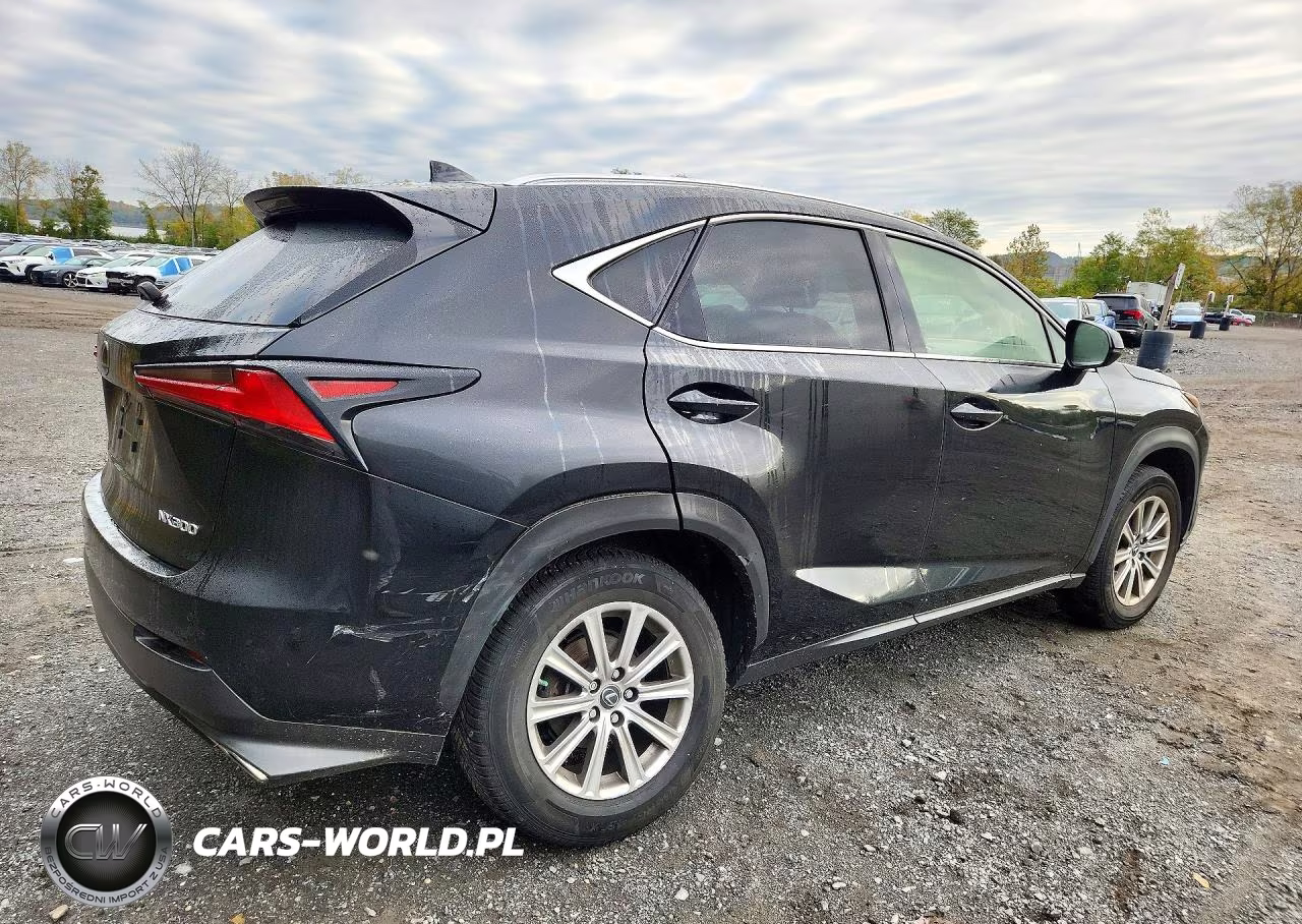 2021 Lexus Nx 300 Base VIN:JTJDARDZ4M2242616 - 3