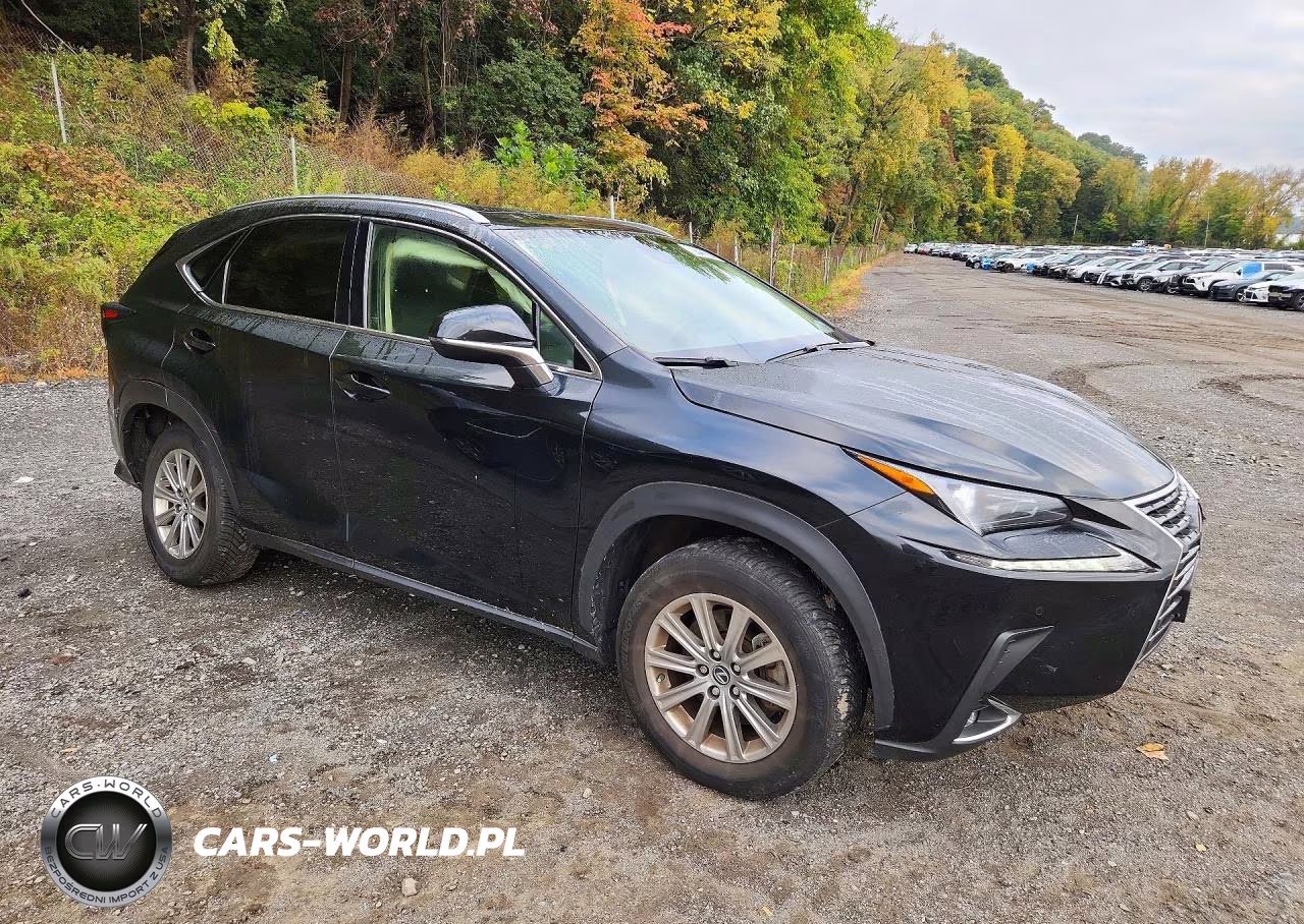 2021 Lexus Nx 300 Base VIN:JTJDARDZ4M2242616 - 4