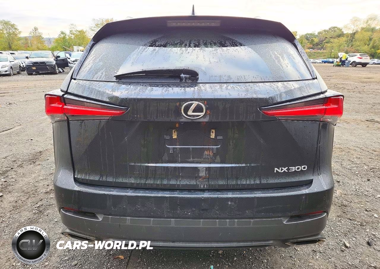 2021 Lexus Nx 300 Base VIN:JTJDARDZ4M2242616 - 6