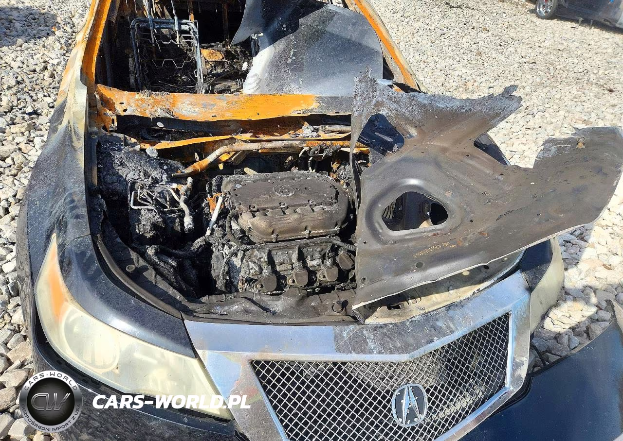 2009 Acura Tl VIN:19UUA86539A003998 - 11