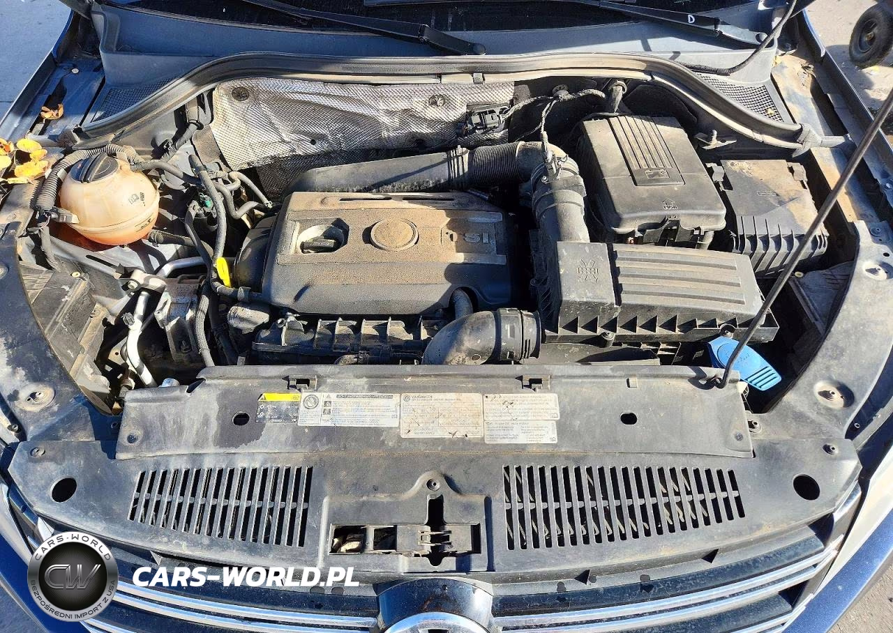 2016 Volkswagen Tiguan S VIN:WVGBV7AX9GW579958 - 12