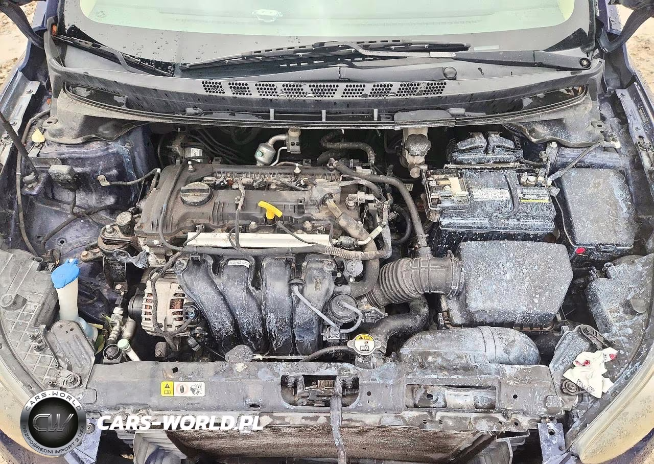 2013 Hyundai Elantra Gls VIN:5NPDH4AE9DH404404 - 11