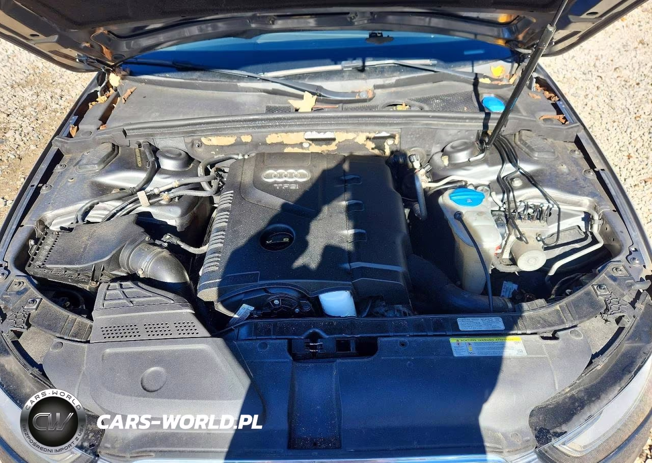 2014 Audi A4 Premium VIN:WAUAFAFL9EN042524 - 11