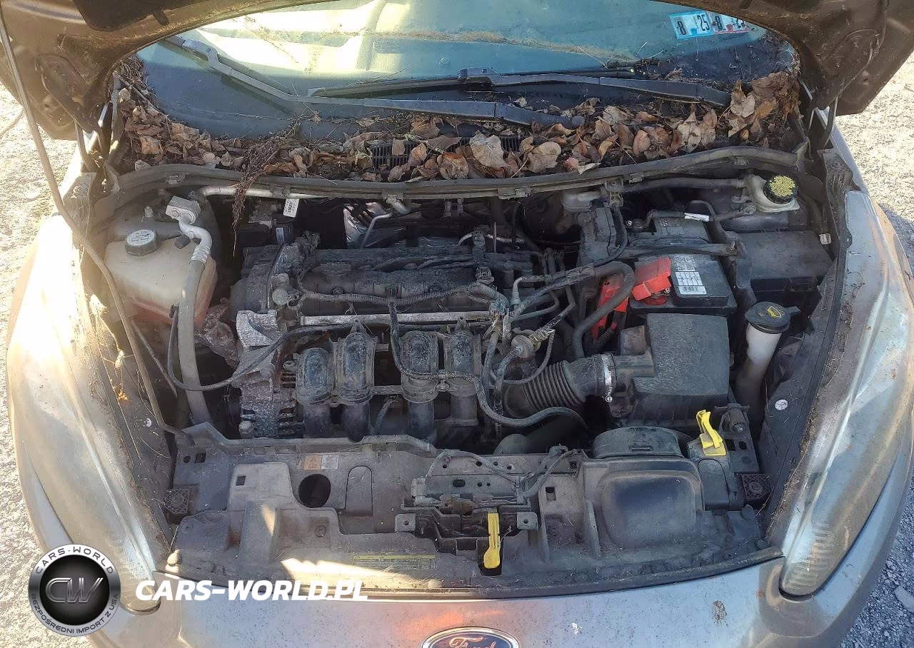 2014 Ford Fiesta Se VIN:3FADP4EJ2EM121385 - 11
