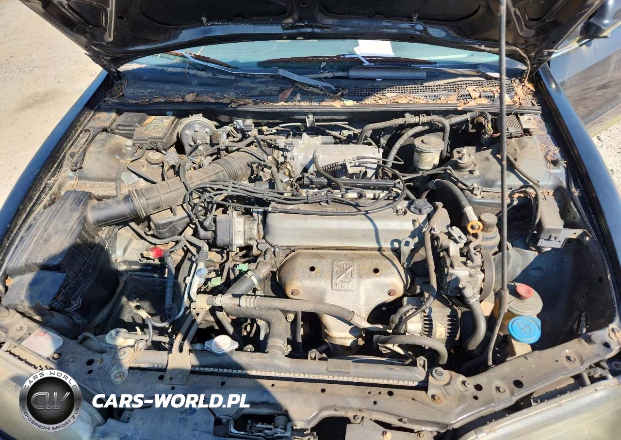 1996 Honda Accord Lx VIN:1HGCD7237TA014995 - 11