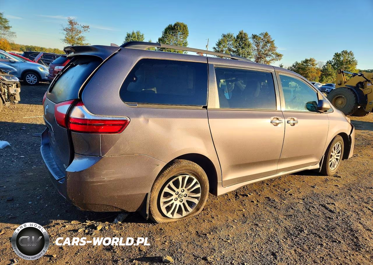 2019 Toyota Sienna Xle 8-Passenger VIN:5TDYZ3DC1KS002984 - 3
