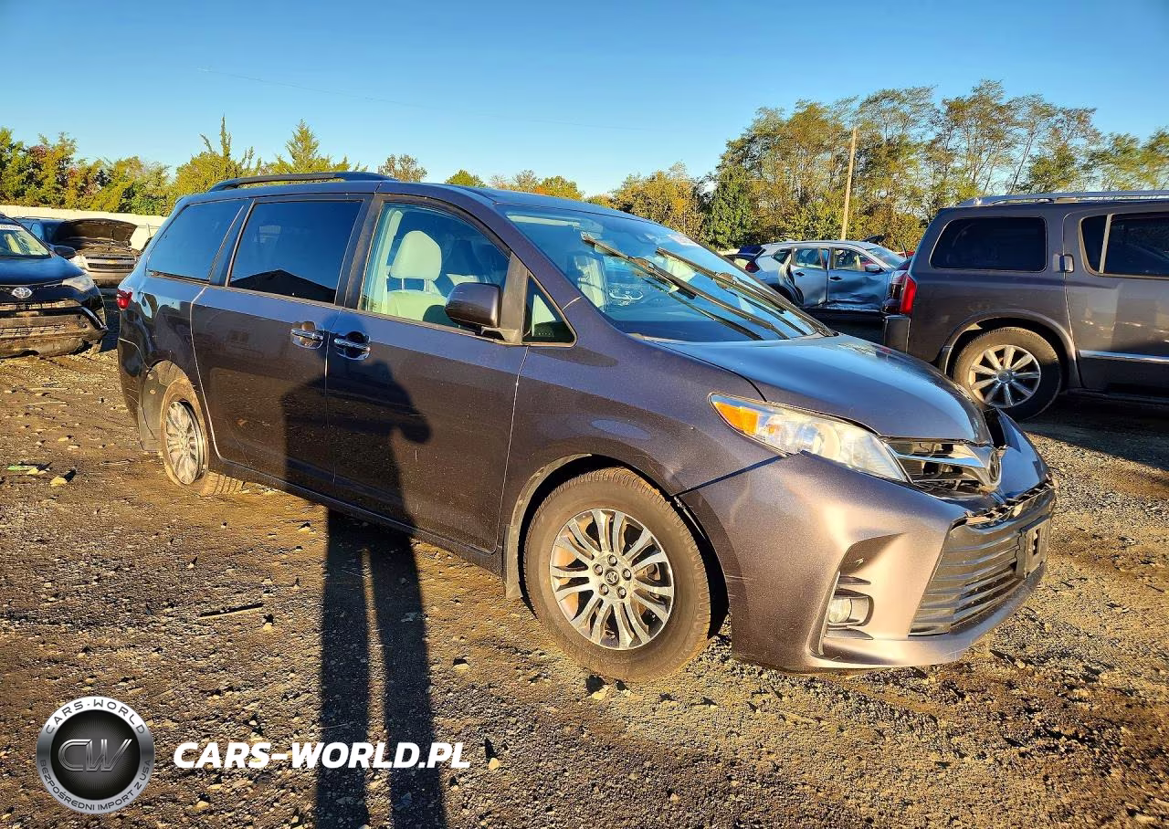 2019 Toyota Sienna Xle 8-Passenger VIN:5TDYZ3DC1KS002984 - 4