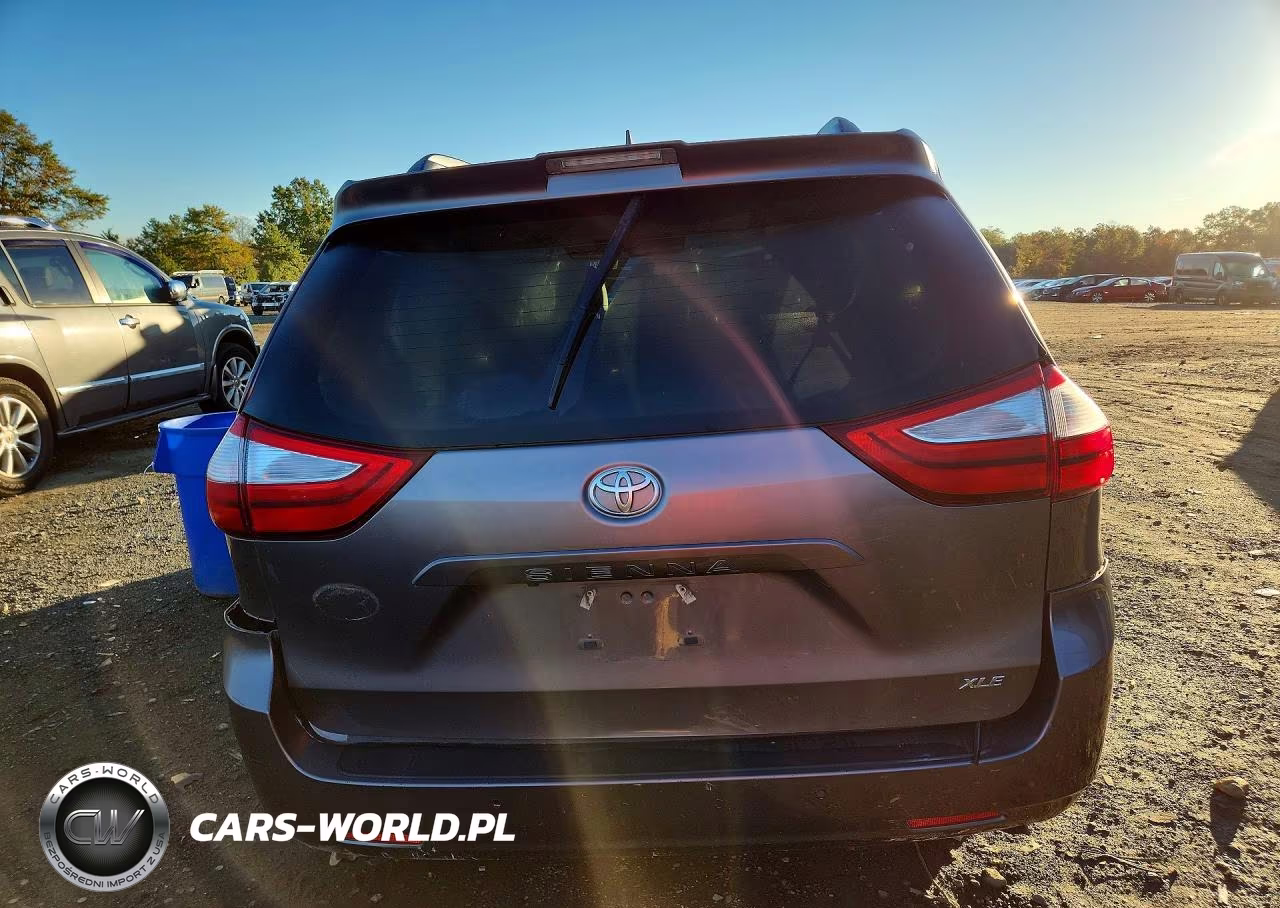 2019 Toyota Sienna Xle 8-Passenger VIN:5TDYZ3DC1KS002984 - 6