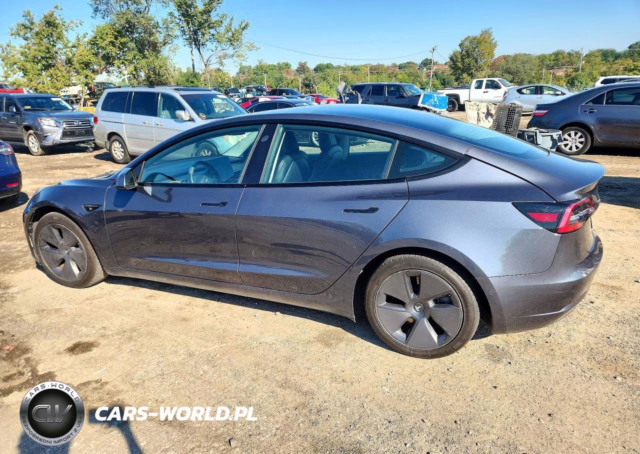 2021 Tesla Model 3 VIN:5YJ3E1EA2MF908138 - 2