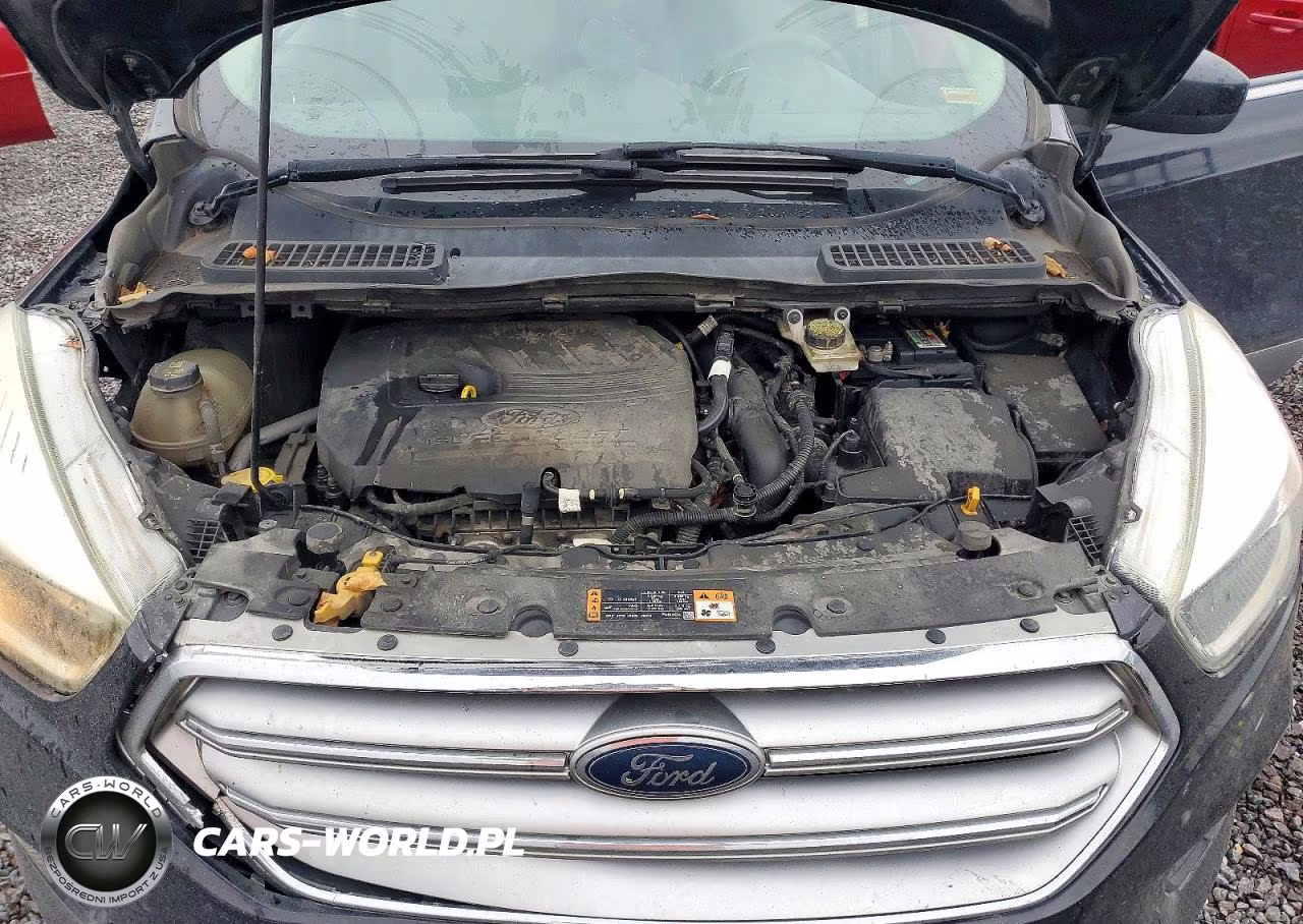 2017 Ford Escape Se VIN:1FMCU0GD6HUB03871 - 11