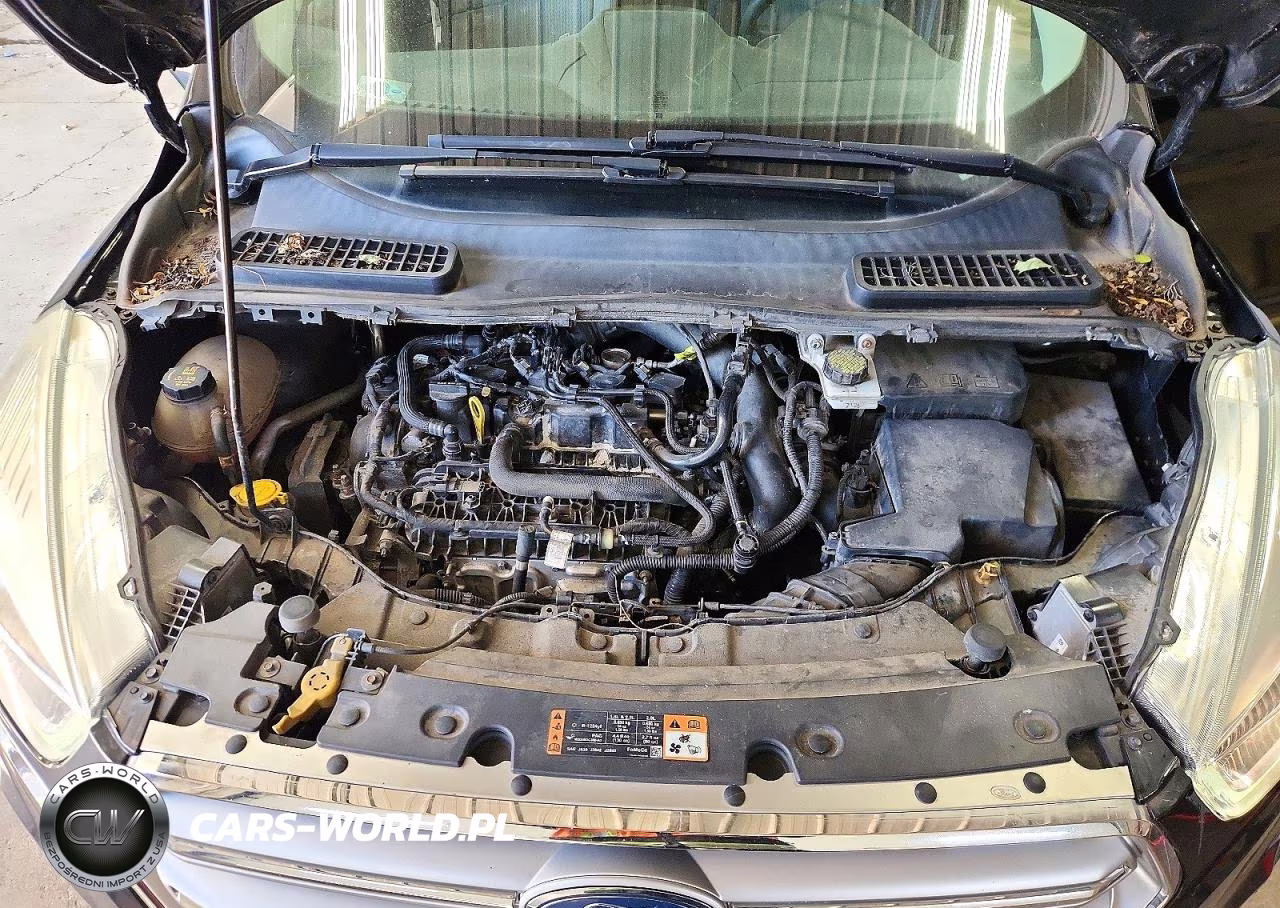 2017 Ford Escape Se VIN:1FMCU0GD7HUB77879 - 12