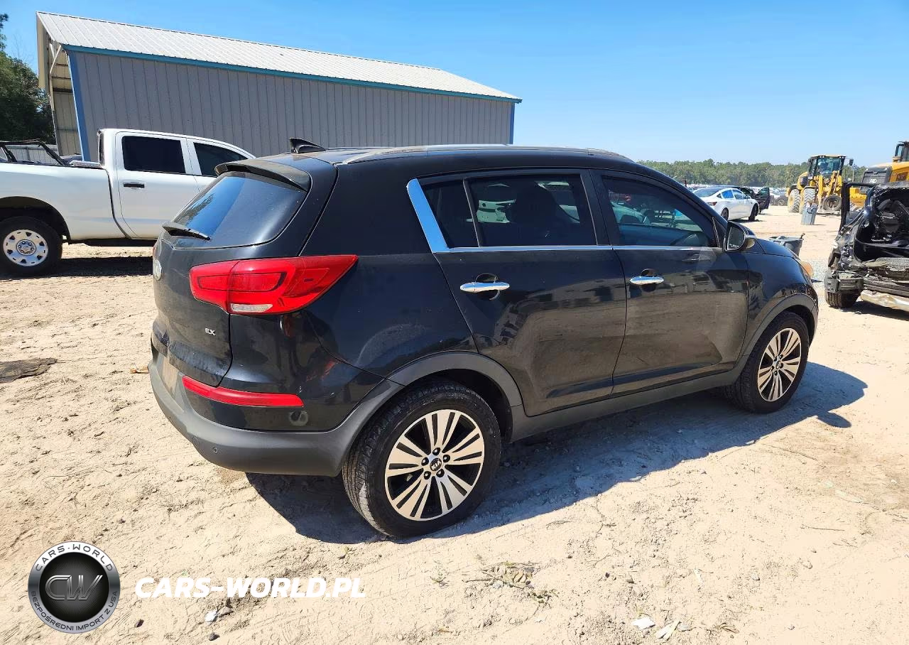 2014 Kia Sportage Ex VIN:KNDPC3AC3E7611865 - 3