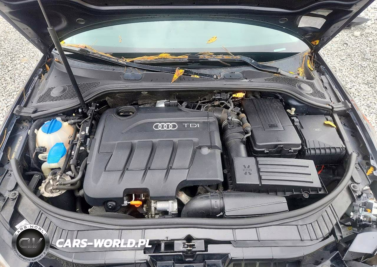 2011 Audi A3 Premium Plus VIN:WAUKJAFM2BA027359 - 11