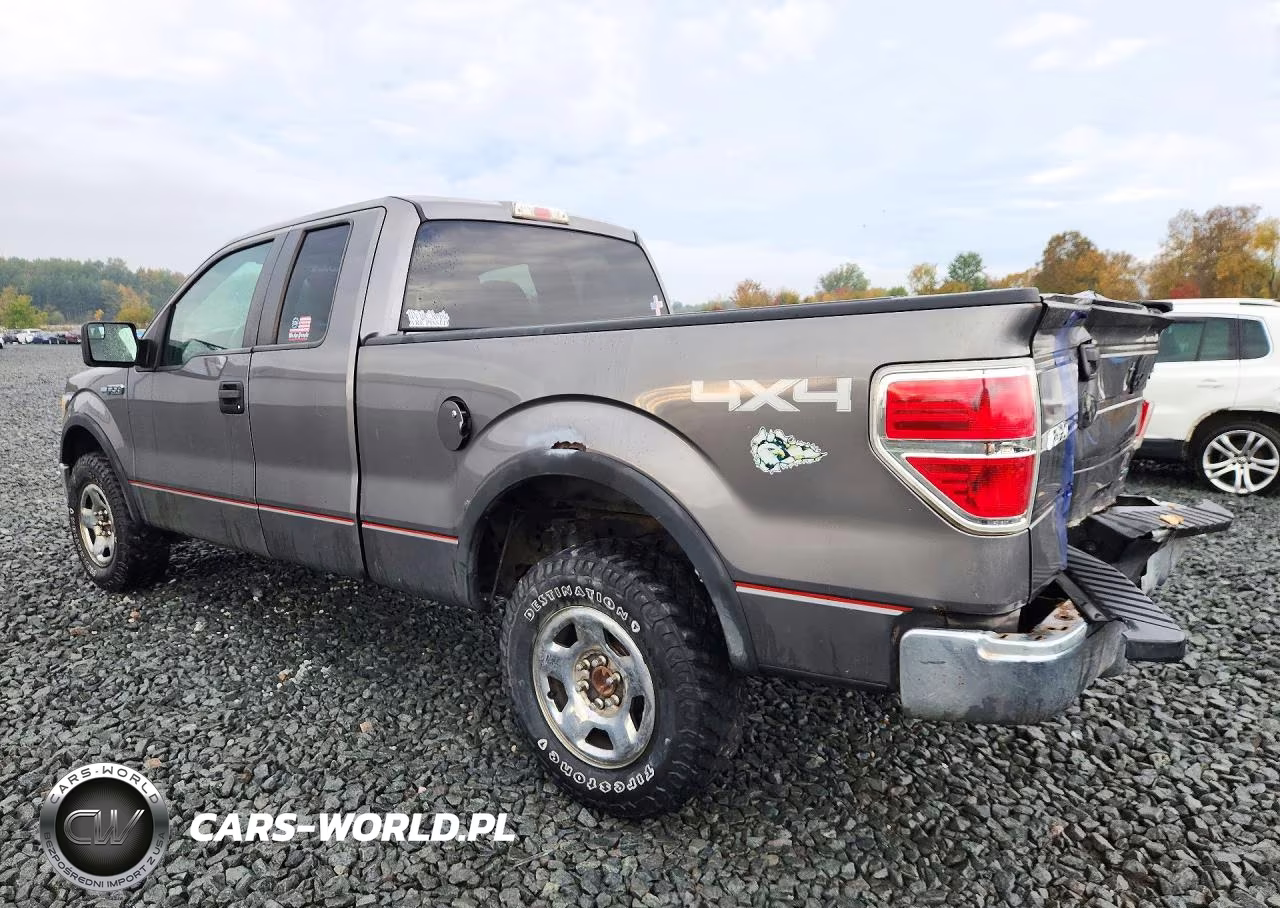 2010 Ford F150 Super Cab VIN:1FTFX1EV6AFD95123 - 2