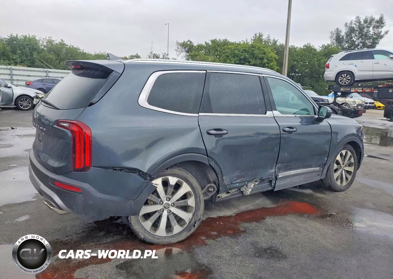 2022 Kia Telluride Ex VIN:5XYP34HC4NG314537 - 3