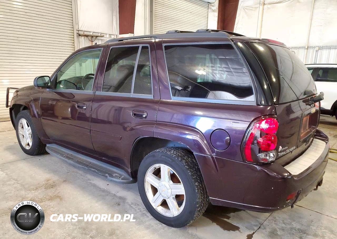 2008 Chevrolet Trailblazer Ls VIN:1GNDT13S682242245 - 2