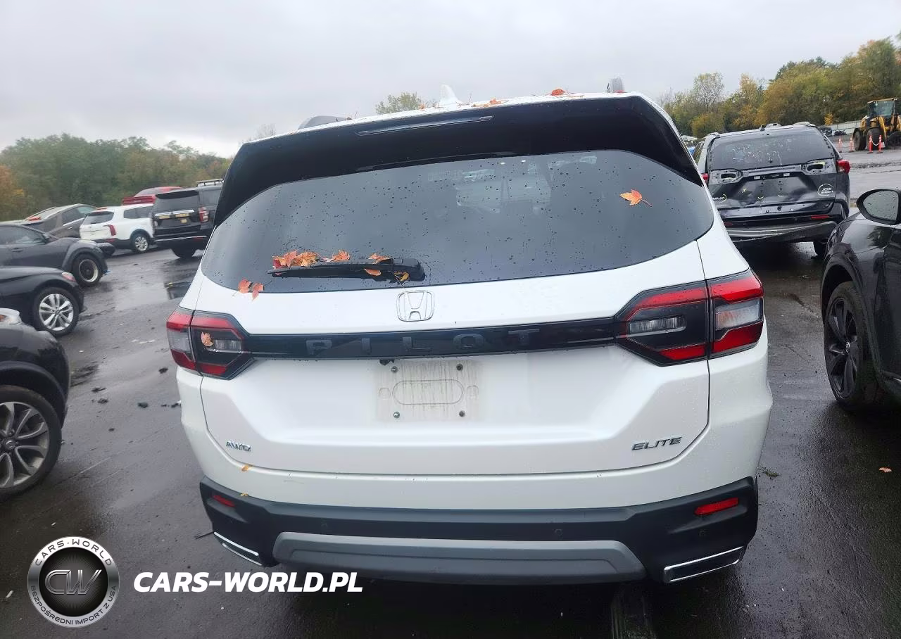 2024 Honda Pilot Elite VIN:5FNYG1H83RB014522 - 6