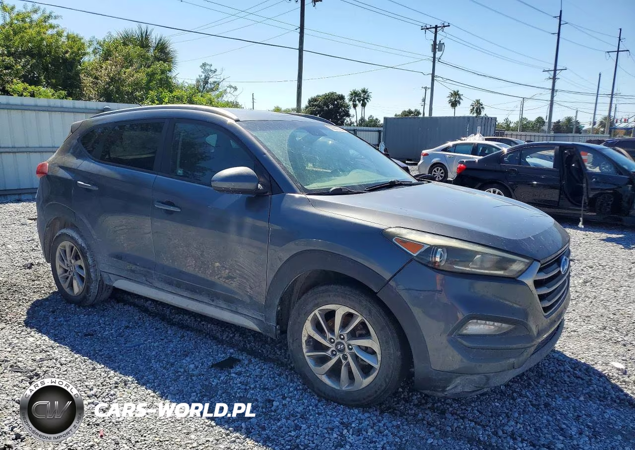 2017 Hyundai Tucson Se VIN:KM8J3CA4XHU497654 - 4