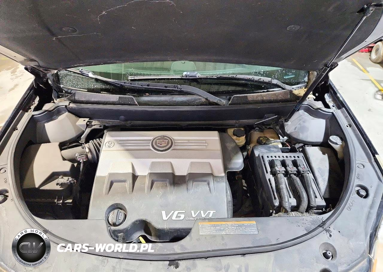 2010 Cadillac Srx Luxury Collection VIN:3GYFNDEY6AS596186 - 12