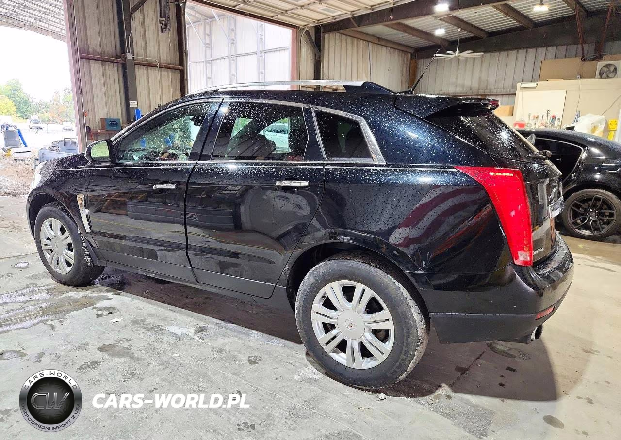 2010 Cadillac Srx Luxury Collection VIN:3GYFNDEY6AS596186 - 2