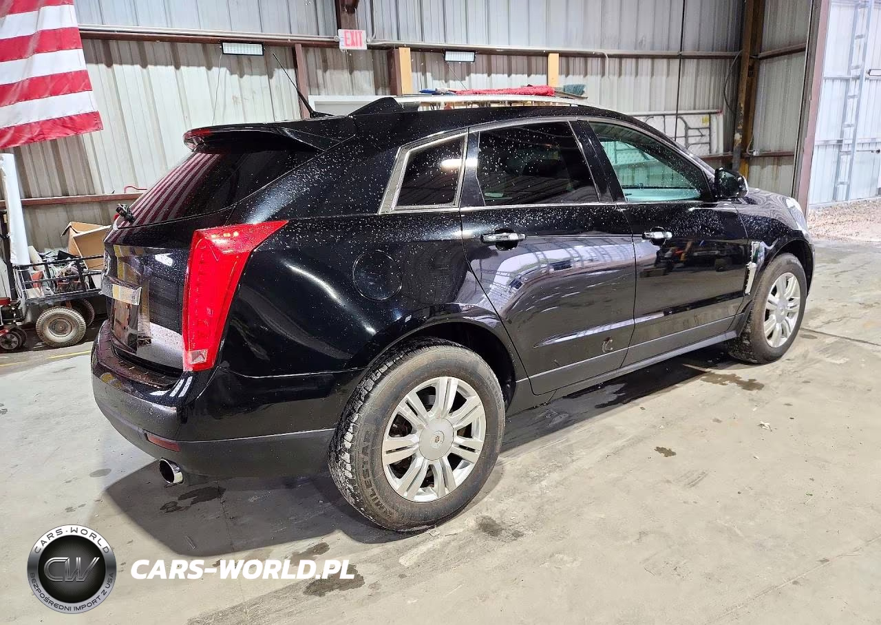 2010 Cadillac Srx Luxury Collection VIN:3GYFNDEY6AS596186 - 3