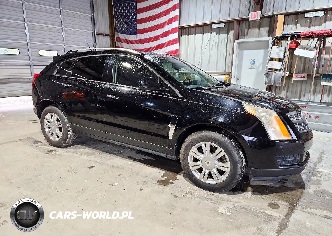 2010 Cadillac Srx Luxury Collection VIN:3GYFNDEY6AS596186 - 4