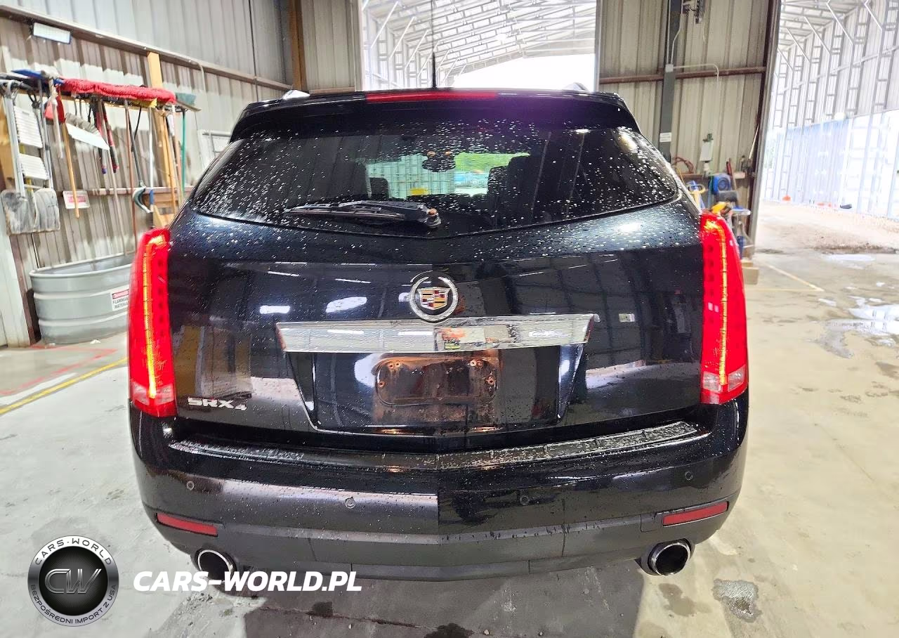 2010 Cadillac Srx Luxury Collection VIN:3GYFNDEY6AS596186 - 6
