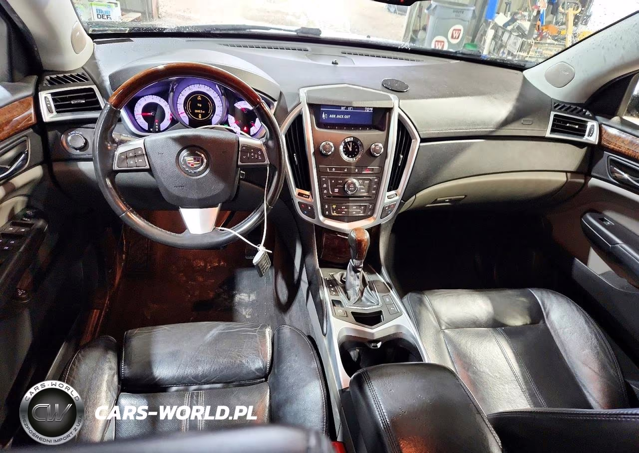 2010 Cadillac Srx Luxury Collection VIN:3GYFNDEY6AS596186 - 8