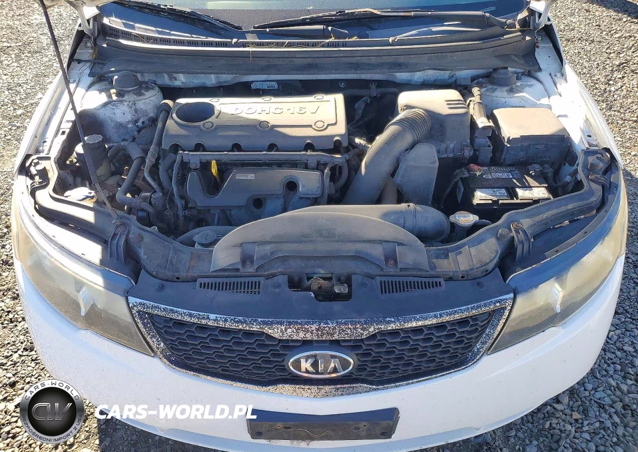 2011 Kia Forte5 Sx VIN:KNAFW5A39B5453003 - 11