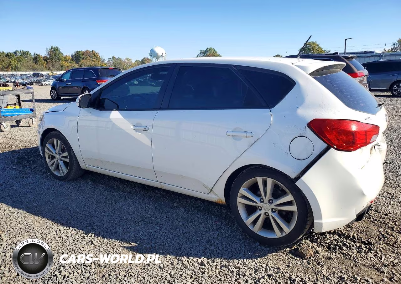 2011 Kia Forte5 Sx VIN:KNAFW5A39B5453003 - 2
