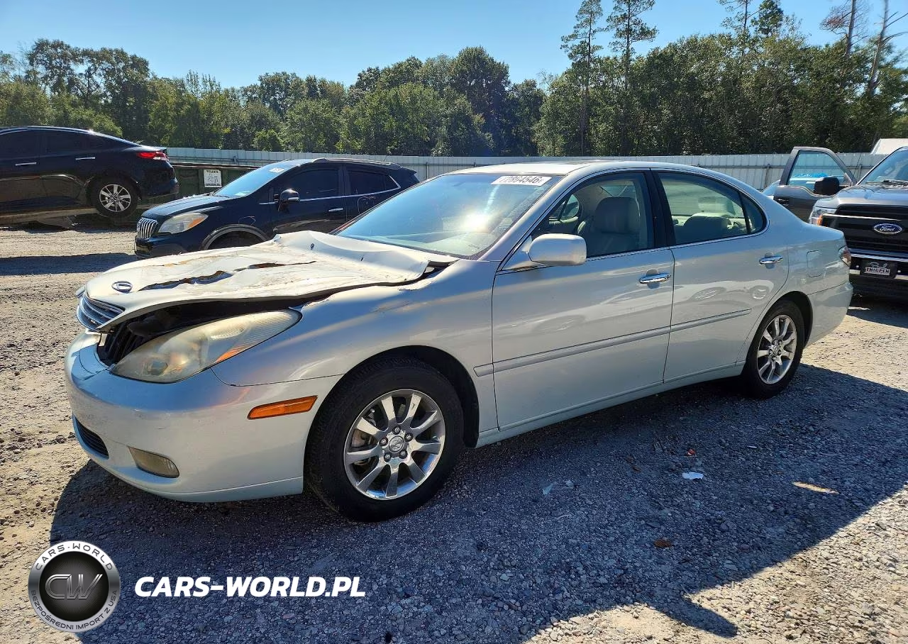 2004 Lexus Es 330 VIN:JTHBA30G545025651 - 1