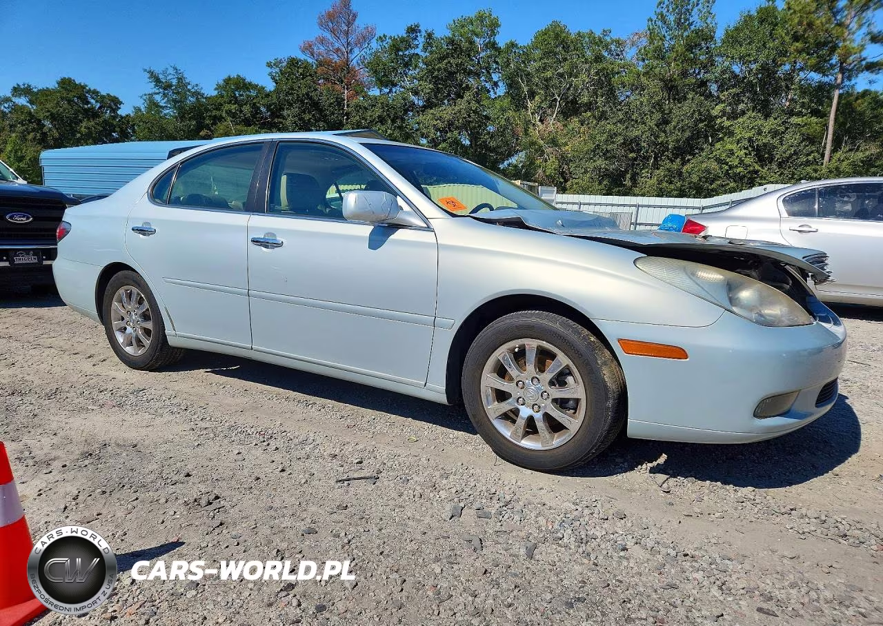 2004 Lexus Es 330 VIN:JTHBA30G545025651 - 4