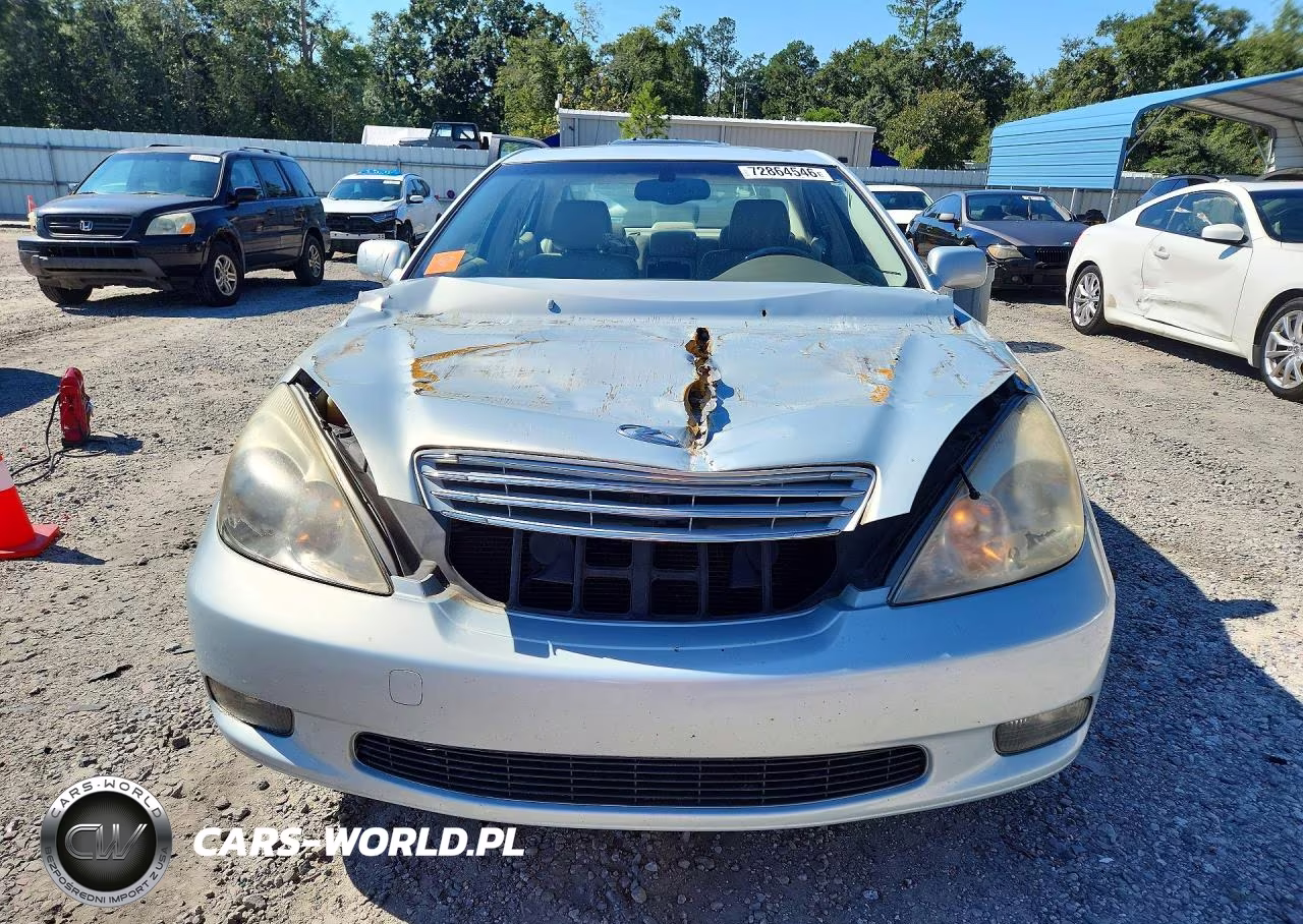 2004 Lexus Es 330 VIN:JTHBA30G545025651 - 5