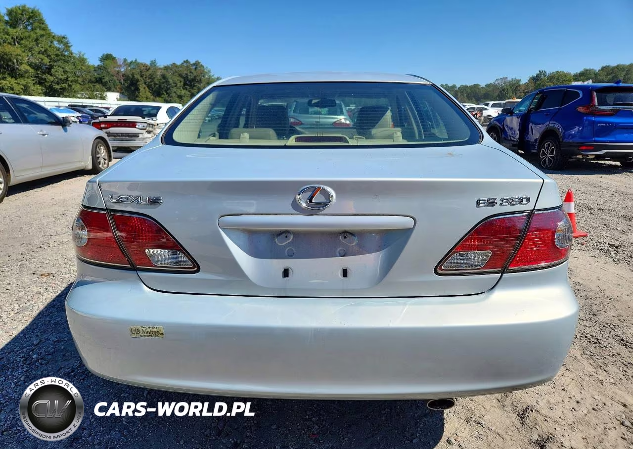 2004 Lexus Es 330 VIN:JTHBA30G545025651 - 6