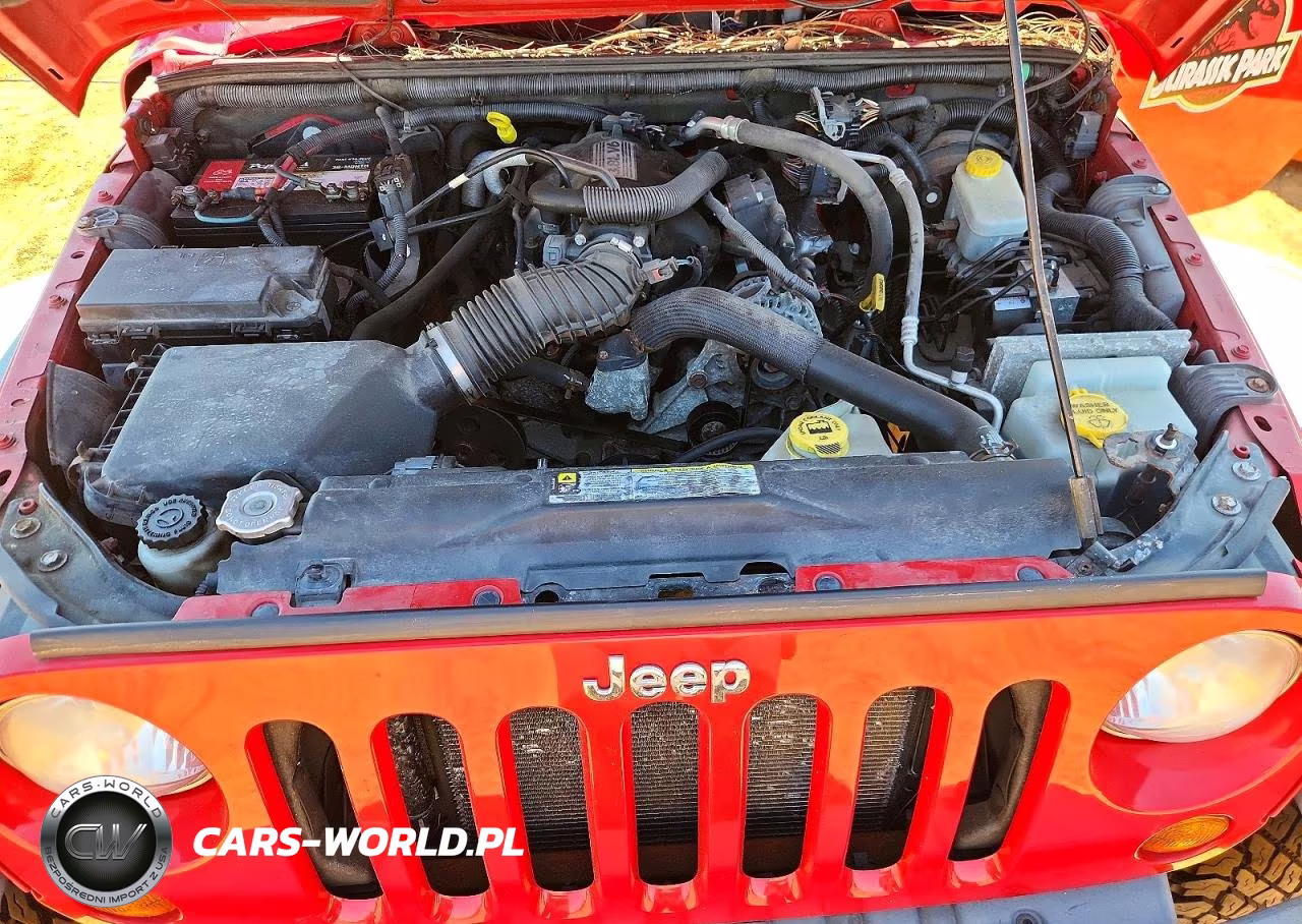 2011 Jeep Wrangler Rubicon VIN:1J4HA6D18BL611461 - 11