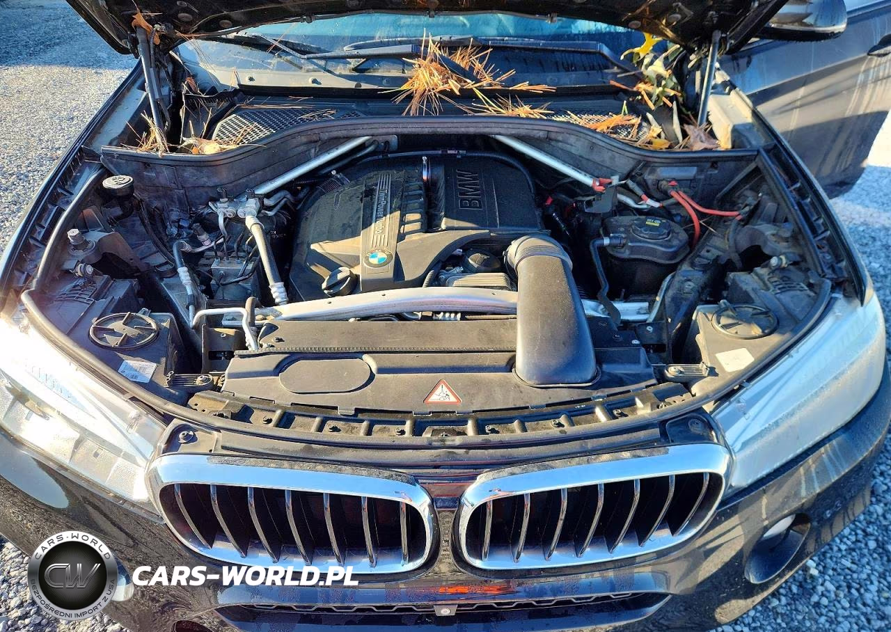 2015 BMW X6 xDrive35I VIN:5UXKU2C55F0F94885 - 11